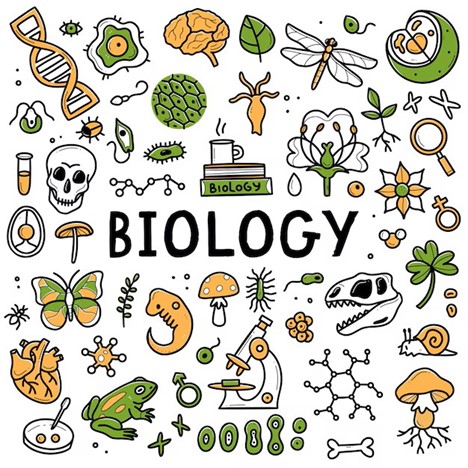 Explore Biology the Fun Way